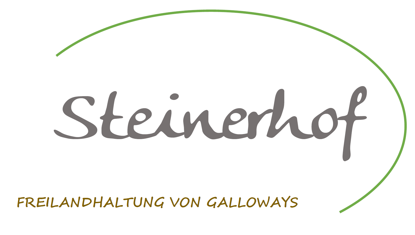 Galloways-vom-Steinerhof