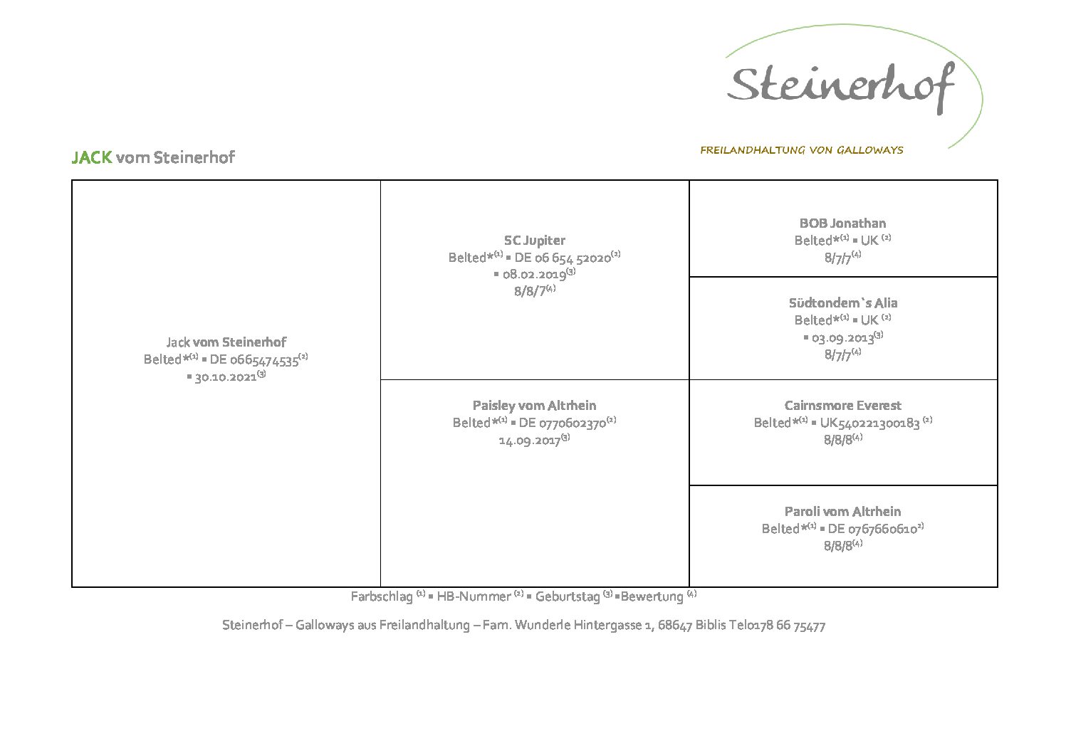Pedigree Jack Steinerhof
