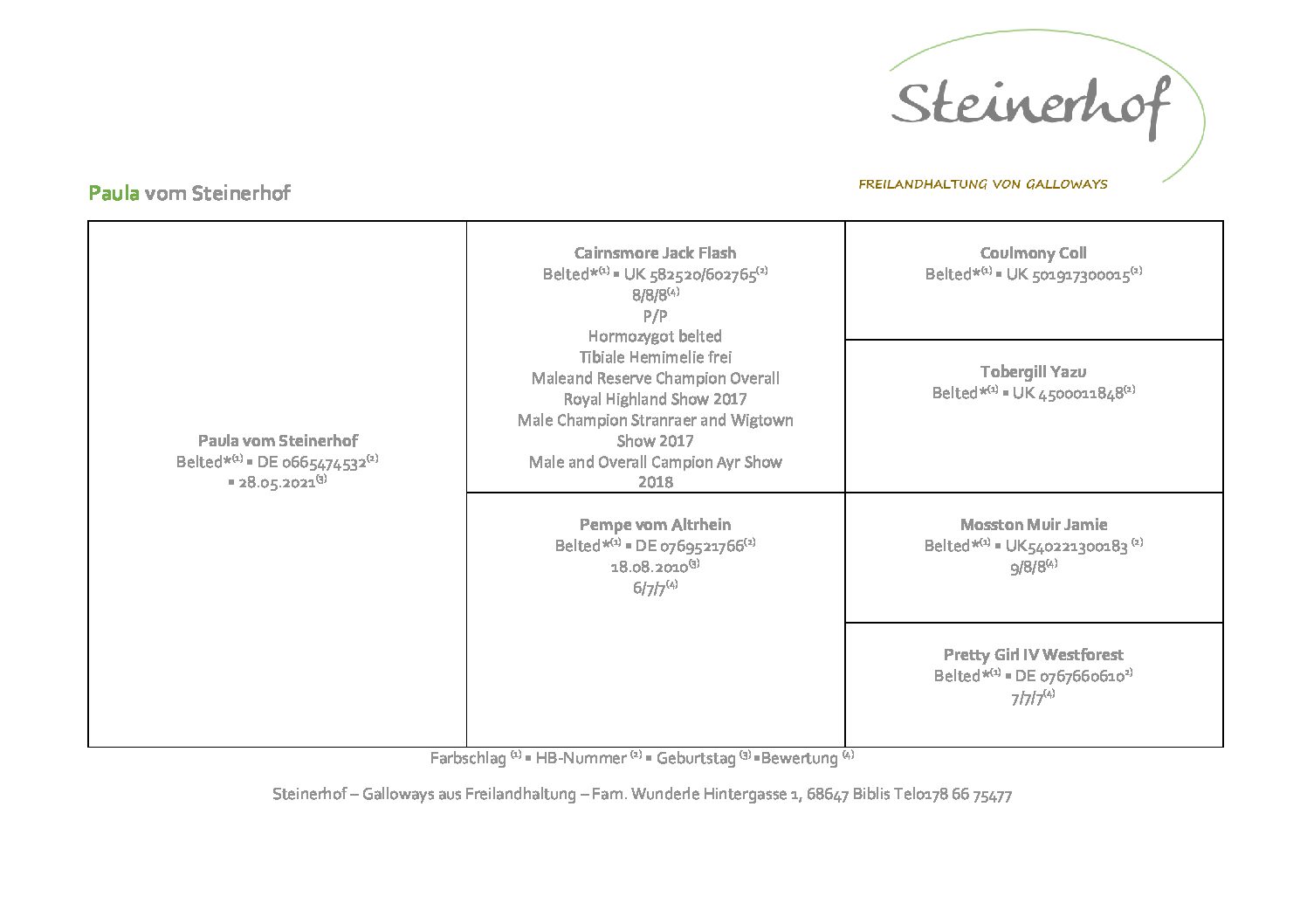 Pedigree Paula Steinerhof